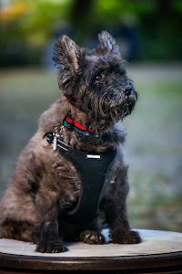 Family Photographer NYC place picture